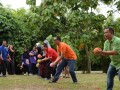 Tn dsc 9226
